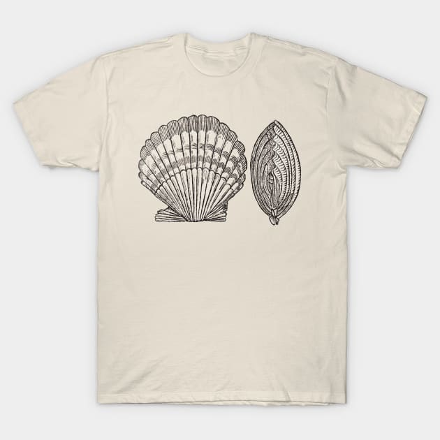 Seashell T-Shirt by TRJ NOLA